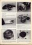 Auto RCM n° 62 Novembre 1986 Yankee Preparation Veysseyre + 24h Cipolla