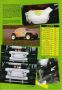 Buggy Mag n° 26 Jan-Fev 1992 Yankee VW Flat + Poster